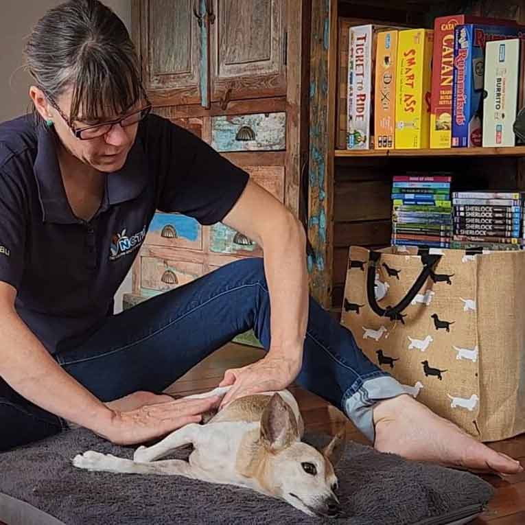 Dog Massage Puppies Brisbane