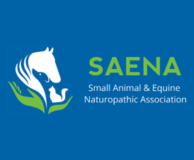 Saena Logo