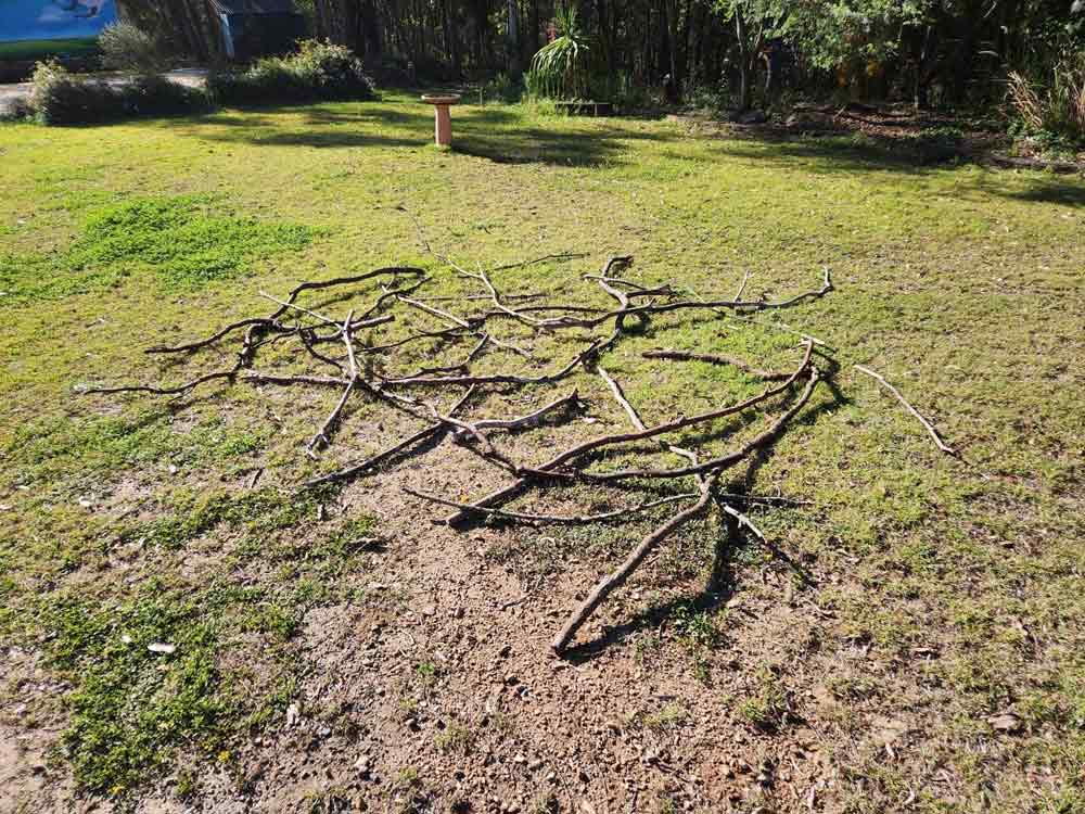 Albany Creek Myofunctional Canine Therapy