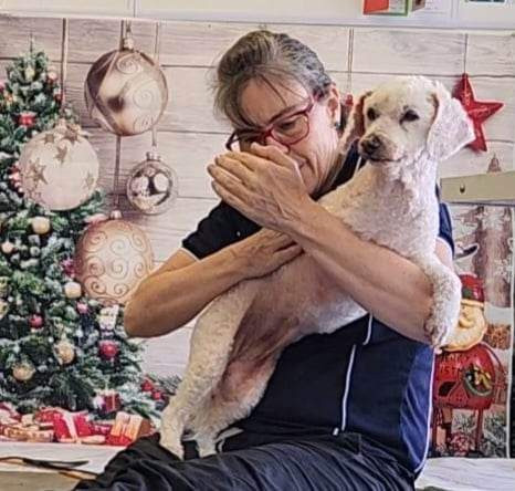 Aspley Myofunctional Canine Therapy