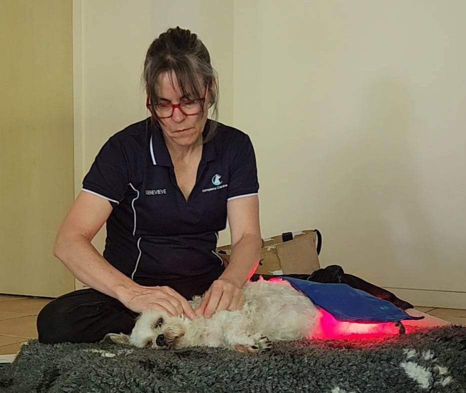 Aspley Myofunctional Dog Therapy