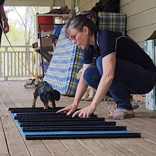 Ferny Grove Myofunctional Canine Therapy