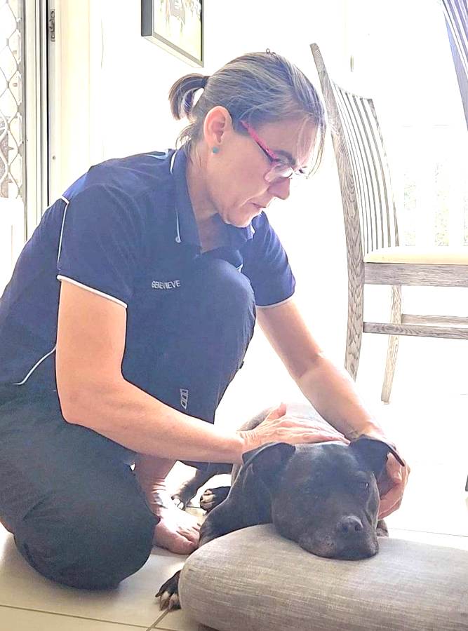 North Brisbane Mobile Dog Massage Myofunctional 10