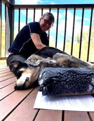 North Brisbane Mobile Dog Massage Myofunctional 14