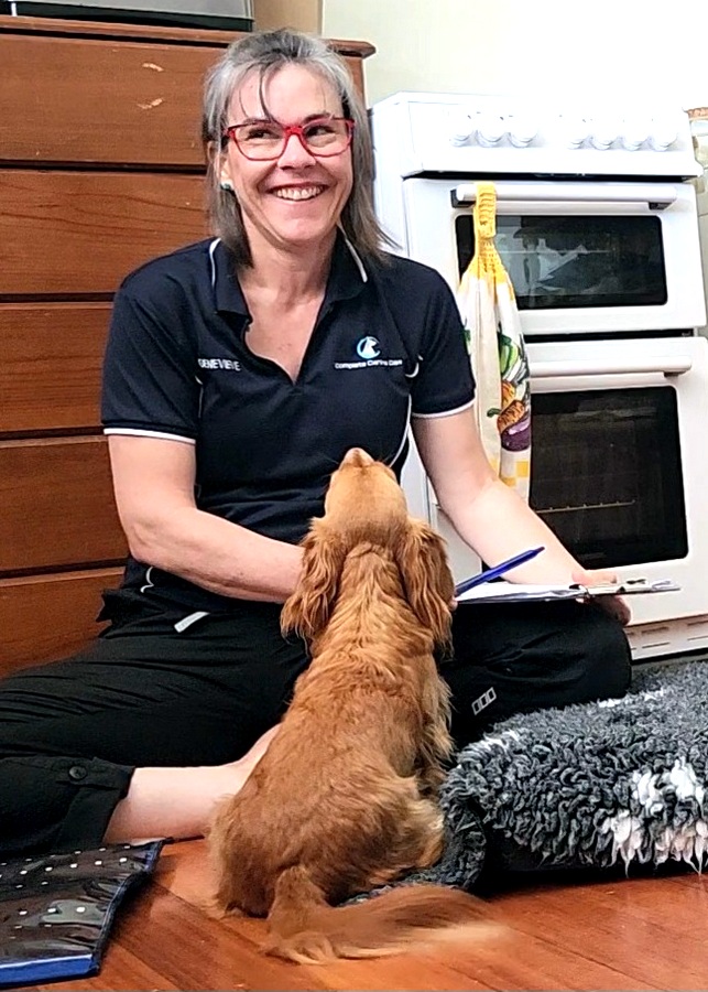 North Brisbane Mobile Dog Massage Myofunctional 21
