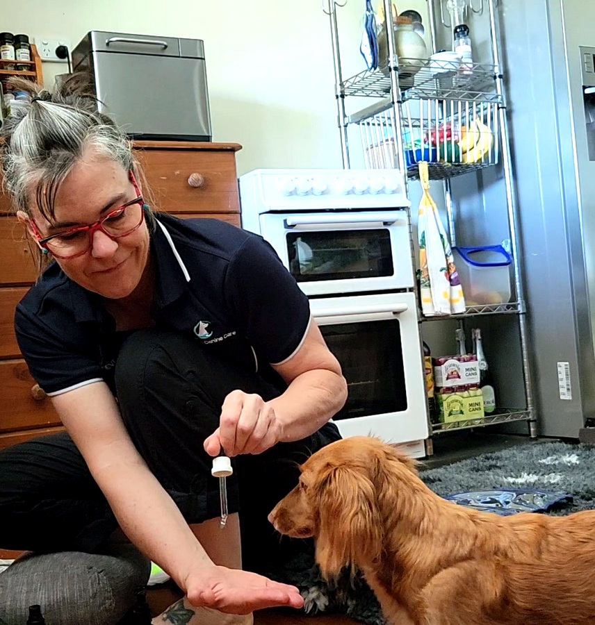 North Brisbane Mobile Dog Massage Myofunctional 23