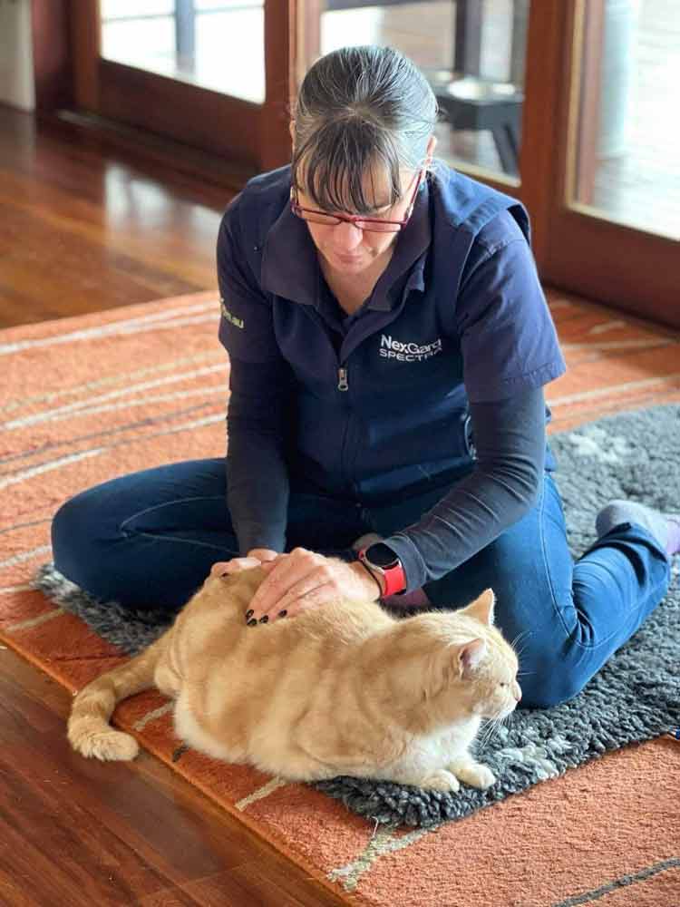 Strathpine Myofunctional Canine Therapy