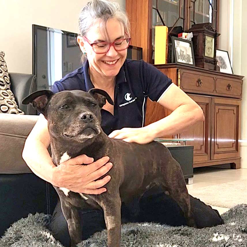 Brisbane Moreton Bay Dog Massage Myofunctional