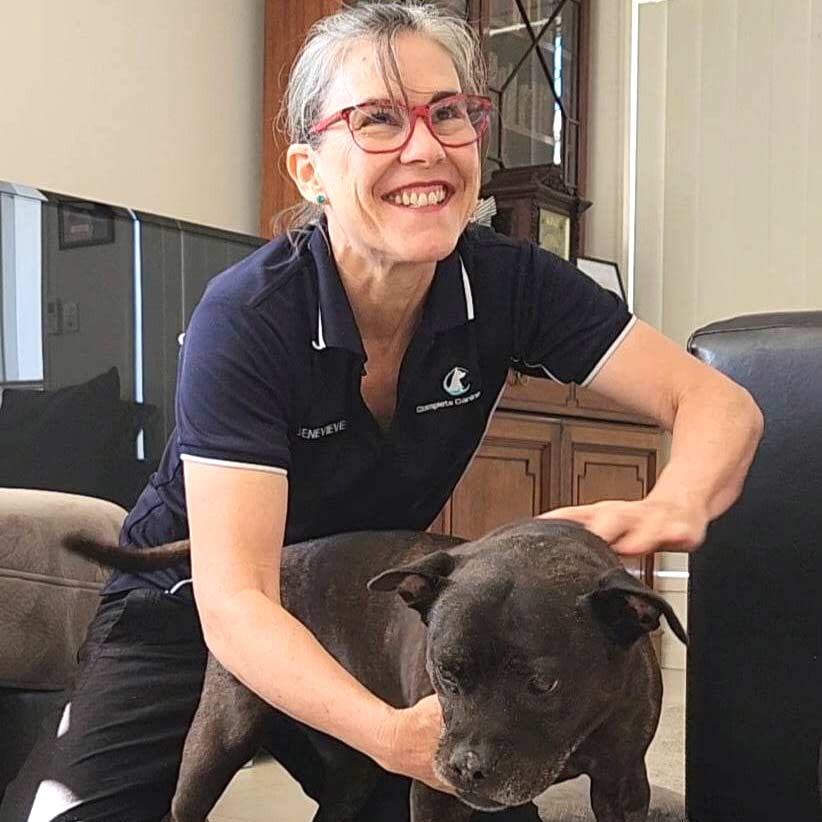 North Brisbane Canine Myofunctional Massage Specialist