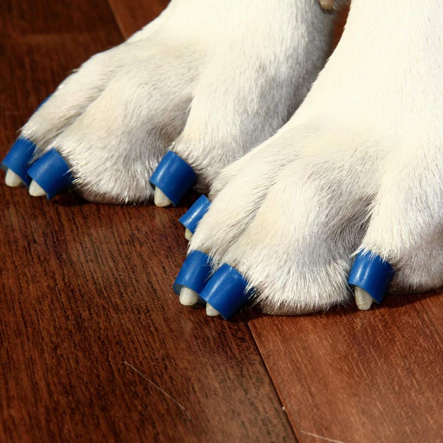 Dr Buzby Toegrips